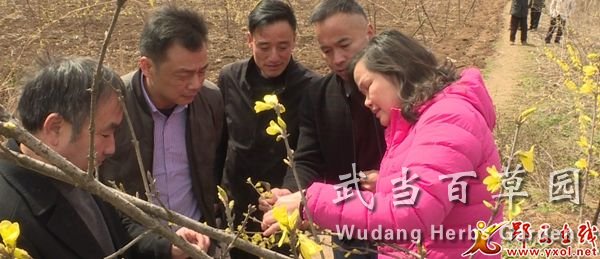 1616488039399769.jpg 212_2652_01.MP4_20210323_161821.737.jpg