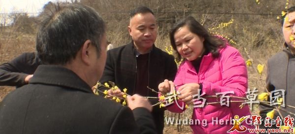 1616487942717286.jpg 212_2651_01.MP4_20210323_161804.561.jpg