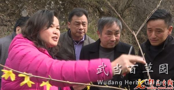 1616487886556605.jpg 212_2629_01.MP4_20210323_161900.338.jpg