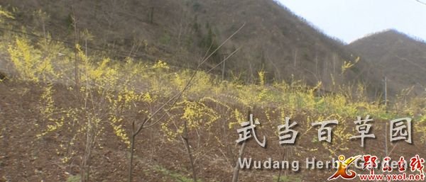 1616487911297114.jpg 212_2631_01.MP4_20210323_162002.003.jpg