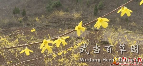 1616488071343144.jpg 212_2633_01.MP4_20210323_162112.409.jpg