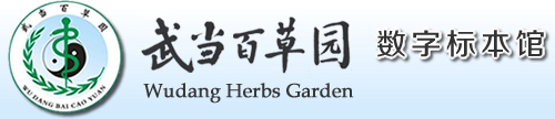 武当百草园数字标本馆